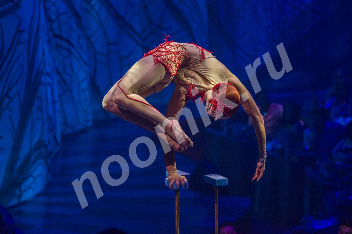 Воздушные гимнасты профессиональные артисты цирка ..., Волгоградская область