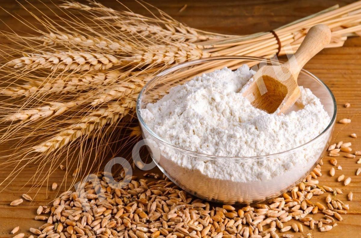 Компания закупает пшеницу, подсолнечник, ячмень фуражный, ..., Краснодарский край