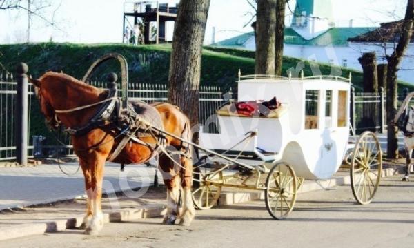 Карета для лошади, Владимирская область