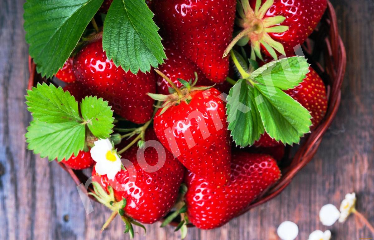 Оптовая продажа ягод и фруктов предлагает к продаже свежие, ...