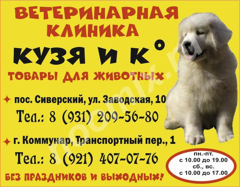 Кузя и К , ветеринарная клиника в Сиверском, Ленинградская область