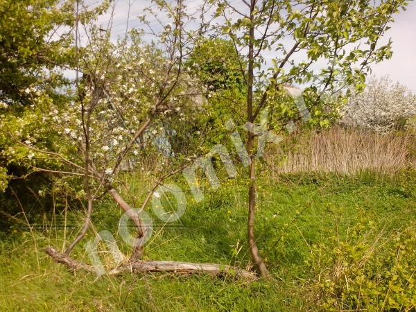 Продается земельный участок 4 сотки в 5 км от МКАД в СНТ Ручеек, Московская область