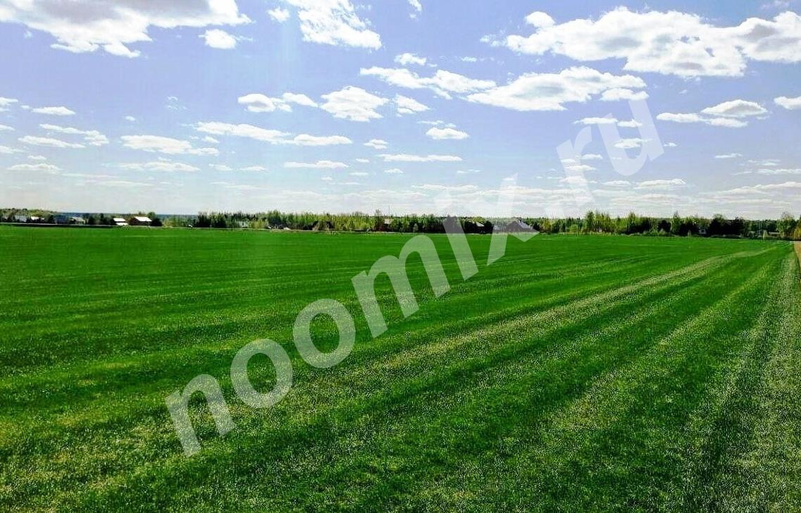 Рулонный газон- производство и доставка в мо,  МОСКВА