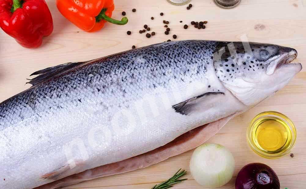 Предлагаем высококачественную рыбу от производителей семгу ..., Мурманская область