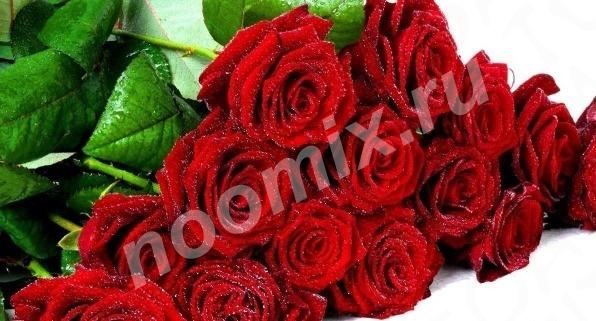 Розы Букеты от 1 11 21 51 101. шт в аллея роз