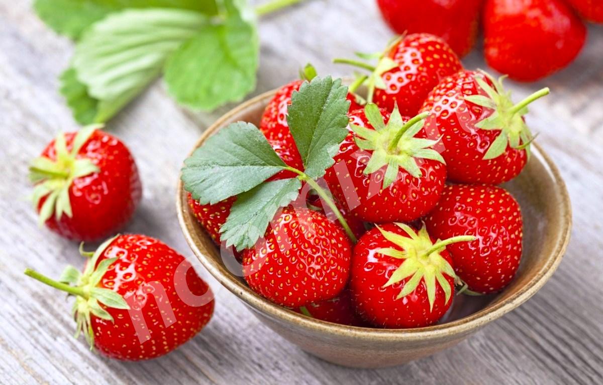 Оптовая продажа ягод и фруктов предлагает к продаже свежие, ..., Иркутская область
