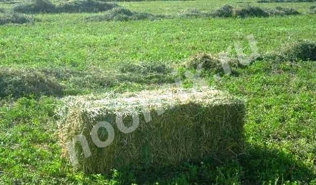 Срочно продаю сено в тюках, Республика Кабардино-Балкария
