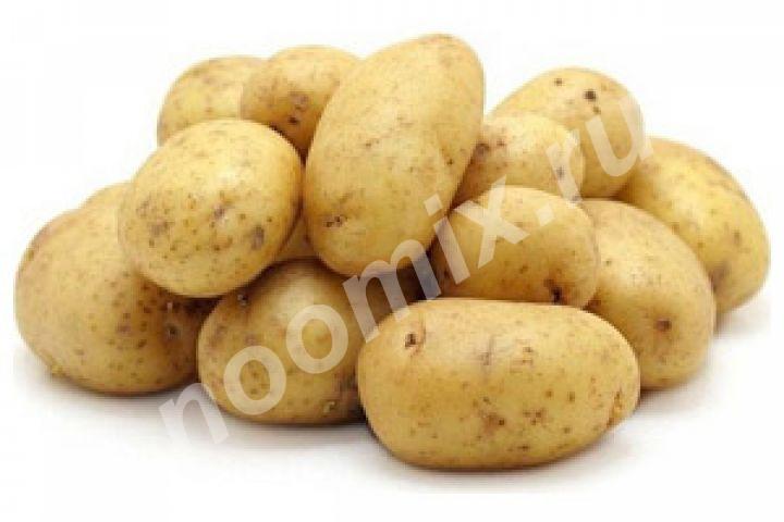 Семенной картофель от производителя, Республика Северная Осетия
