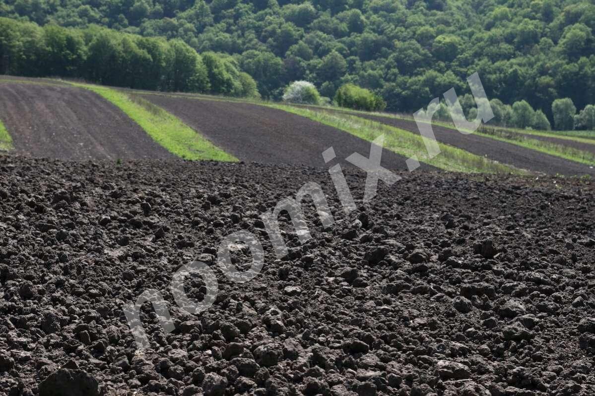 Земля, чернозем, навоз перегнивший конский, коровий, грунт