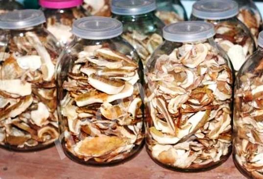 Продаю Белые сушенные грибы, Мурманская область