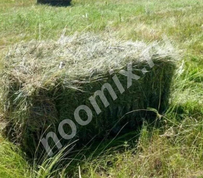 Тюкованное сено луговое разнотравье опт, розница, Московская область