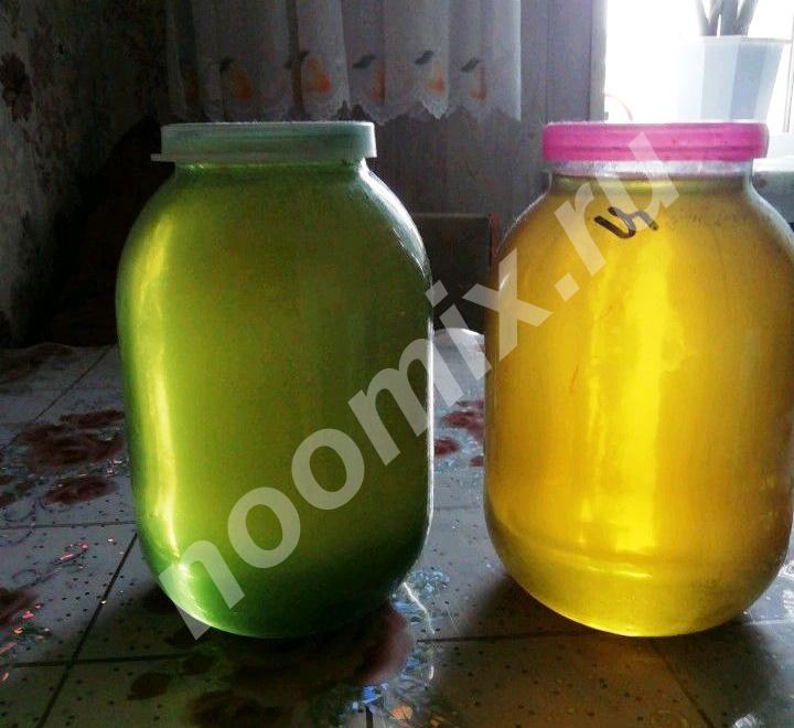 Продаётся мёд этого года цена за 3-х литровую банку, Приморский край