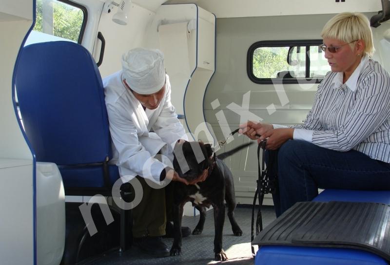 Выездная ветеринарная служба, Костромская область