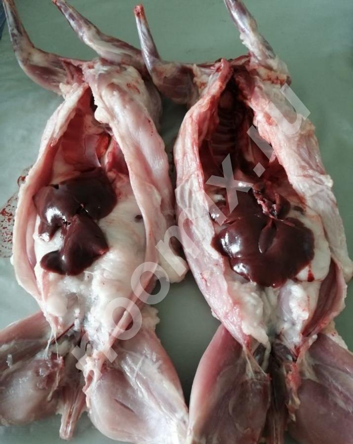 Продаём домашнее парное диетическое мясо кролика. Вес тушки ..., Тульская область