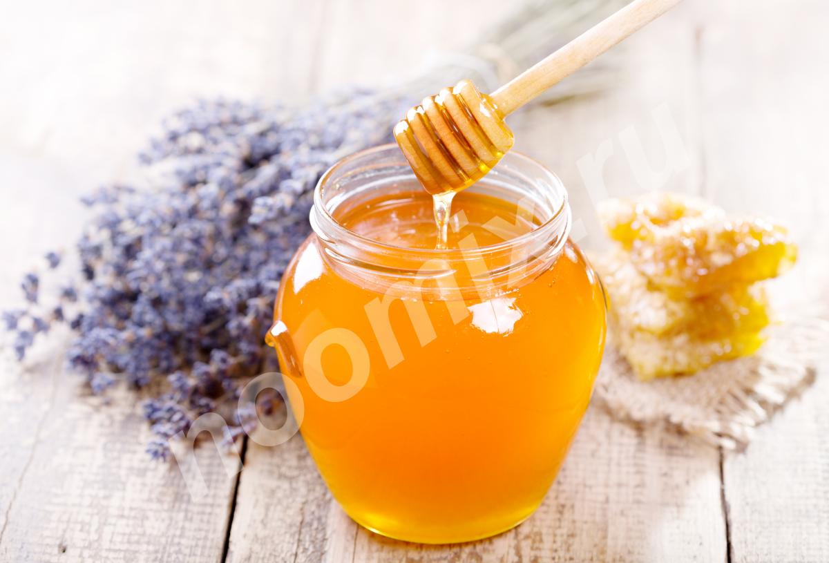 Самый свежий и полезный экологически чистый северный мёд из ..., Вологодская область