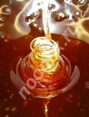 Продаю Дикий пчелиный мёд, гарантия, Чеченская Республика