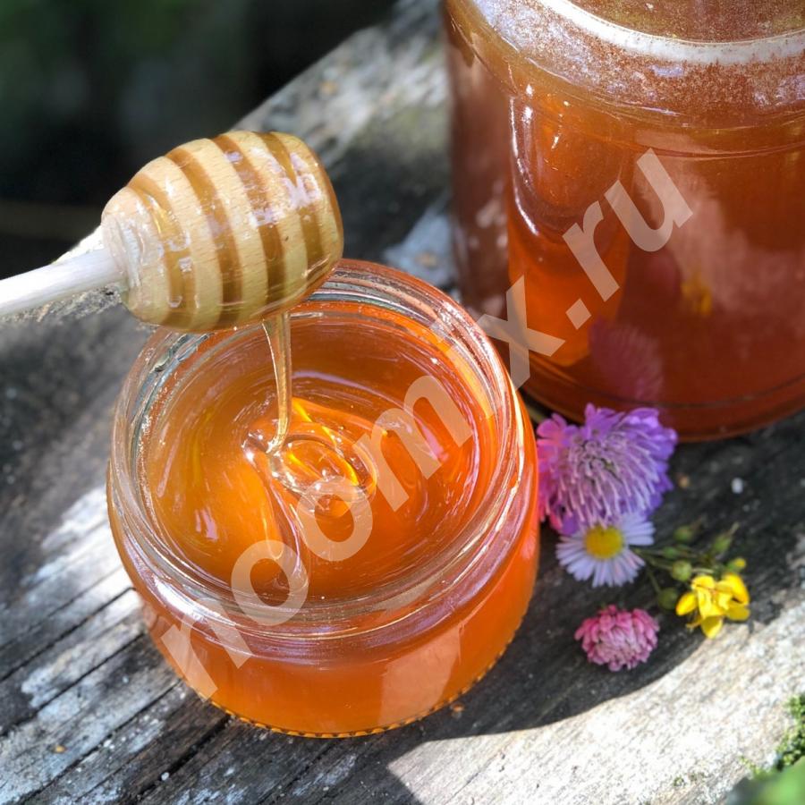 Мёд и продукты пчеловодства оптом, напрямую с личных пасек ..., Курская область