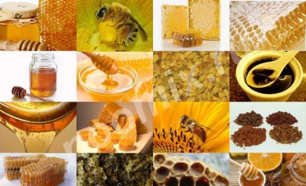 Мёд и продукты пчеловодства, Тульская область