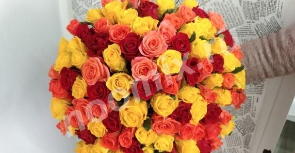 Цветы, Букет 101 роза 50 см Микс Доставка, Ставропольский край
