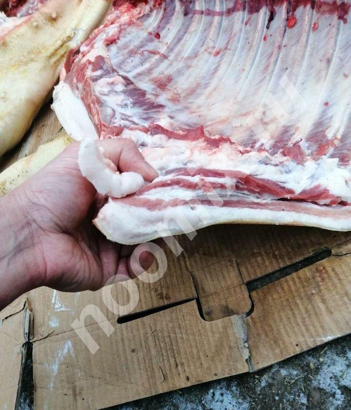 Продаю деревенское мясо. Свинина Не беконка резиновая , а . ..., Тульская область