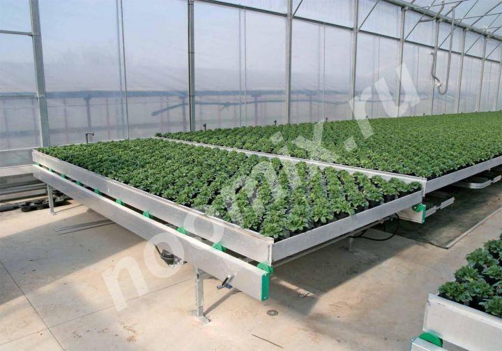 Вегетационные столы могут быть оборудованы нижним ..., Читинская область