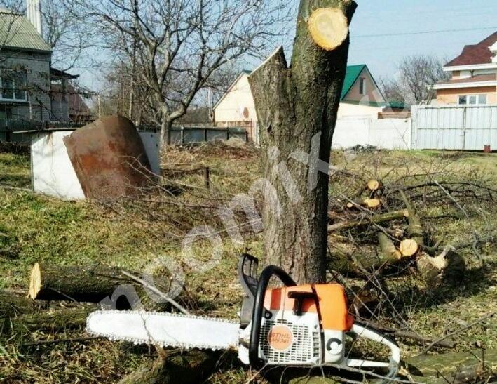 Услуги - Спил деревьев, Рязанская область