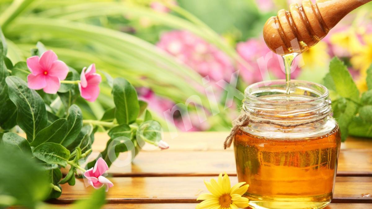 Продаю Очень вкусный мёд Пасека в Боханском районе ..., Иркутская область