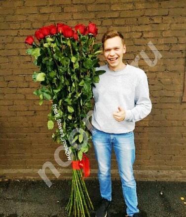 Розы 170. Эквадорские розы 150 см. Розы 170 см. Длинные розы 170 см цена.
