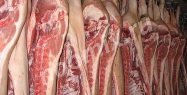 Мясо свинина охл. , 1 категории,  МОСКВА