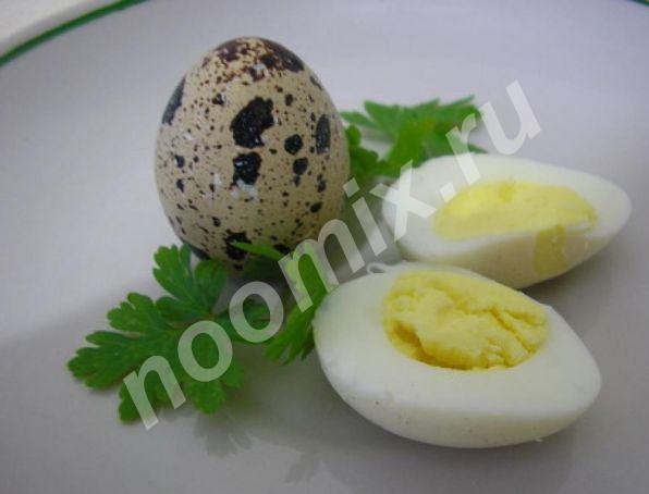 Перепелиные яйца,  МОСКВА