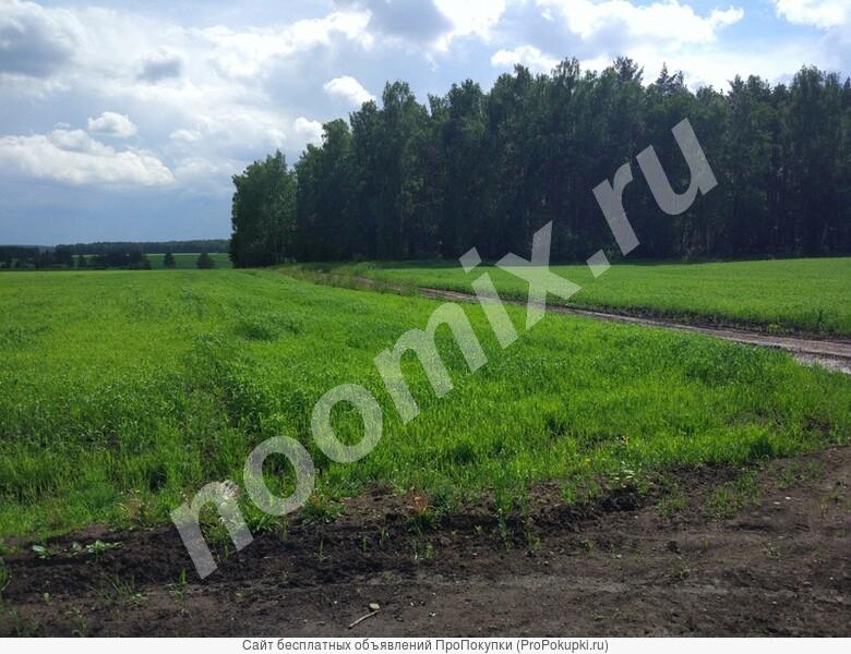 Земельный участок сельхозназначения 32 Га, Краснодарский край