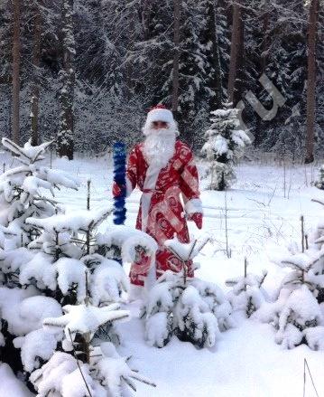 Дед Мороз и Снегурочка поздравят вас с Новым годом, Ивановская область