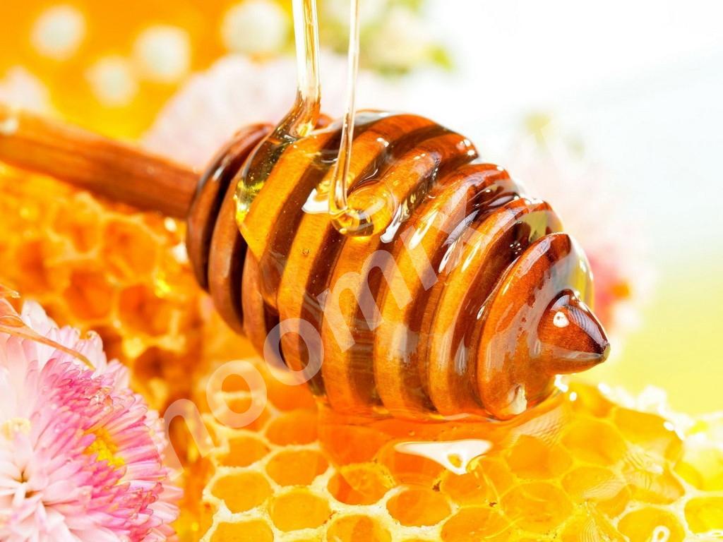 100 натуральный пчелиный мед Подсолнечный и цветочный. ...