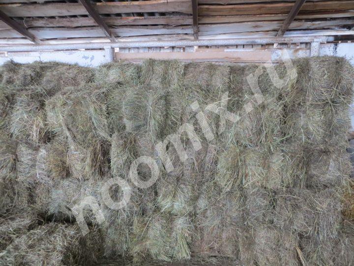 Реализуем сено в тюках и в рулонах луговое разнотравье, ..., Московская область