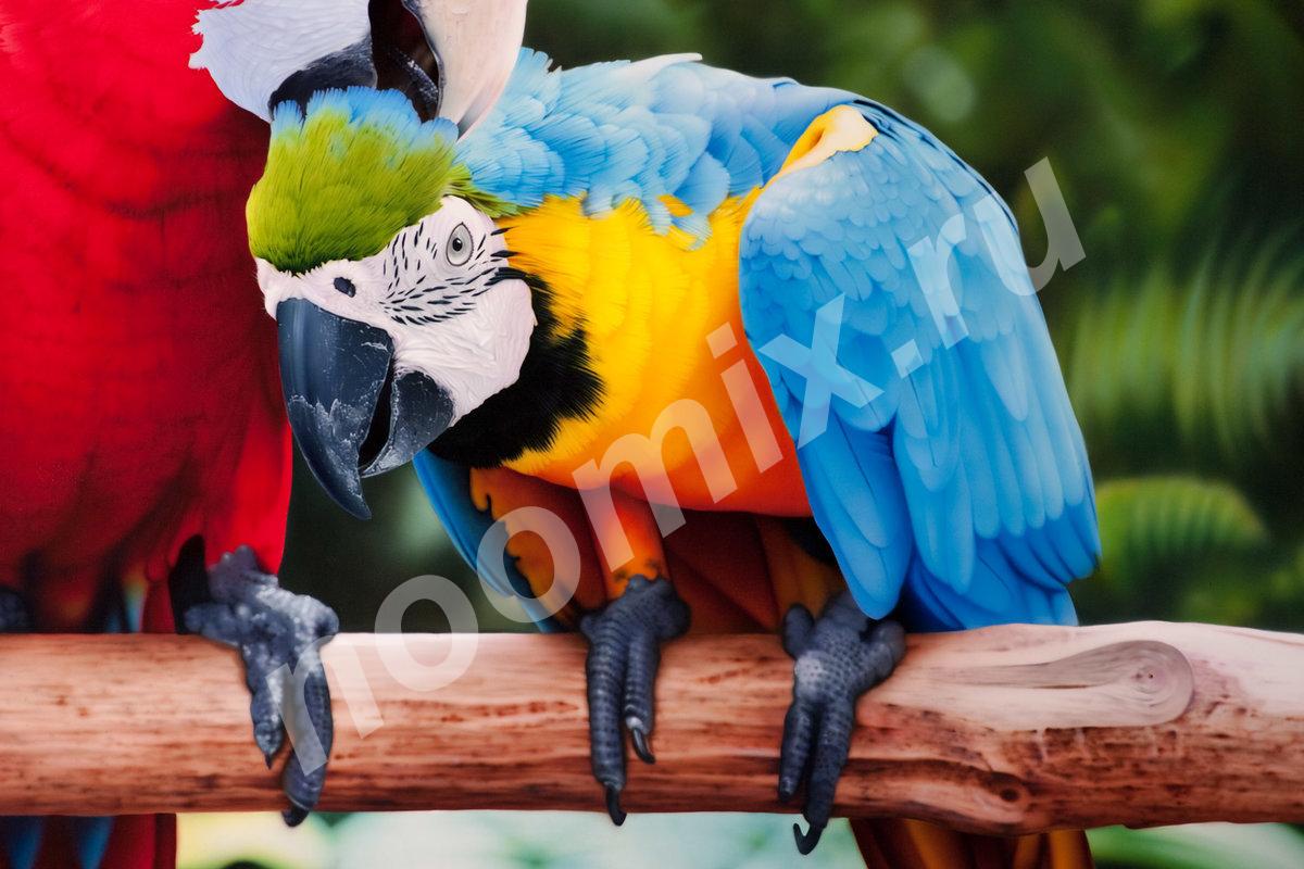 Предлагаем птенцов выкормышей попугаев ара,  МОСКВА