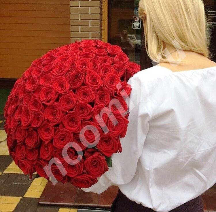 101 красная роза свежая пышная 70см фото реальное,  САНКТ-ПЕТЕРБУРГ