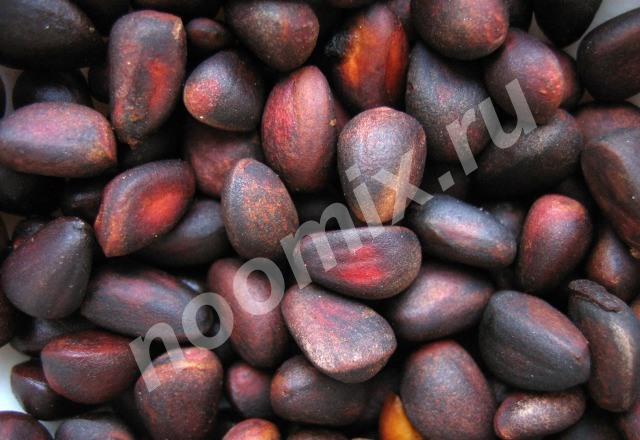 Продам кедровый орех, Читинская область