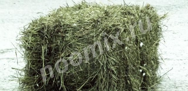 Зеленое сено в тюках, Московская область