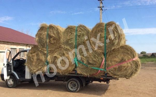 Продаём сено в рулонах и тюках, Астраханская область