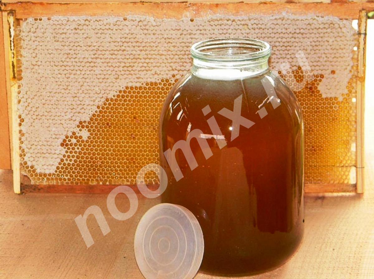 Мёд цветочный, гречишный. Сбор 2020 года, Тульская область