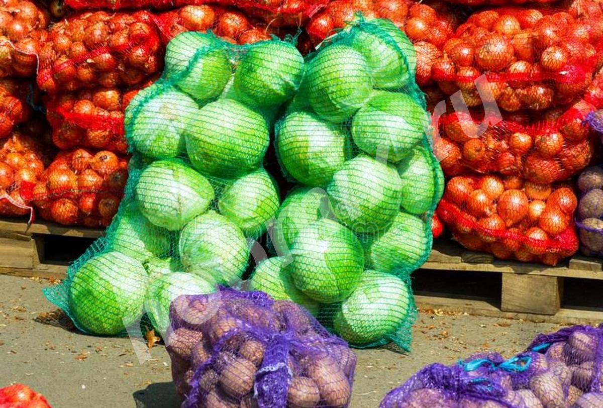 Продаем овощи хорошего качества, Тульская область