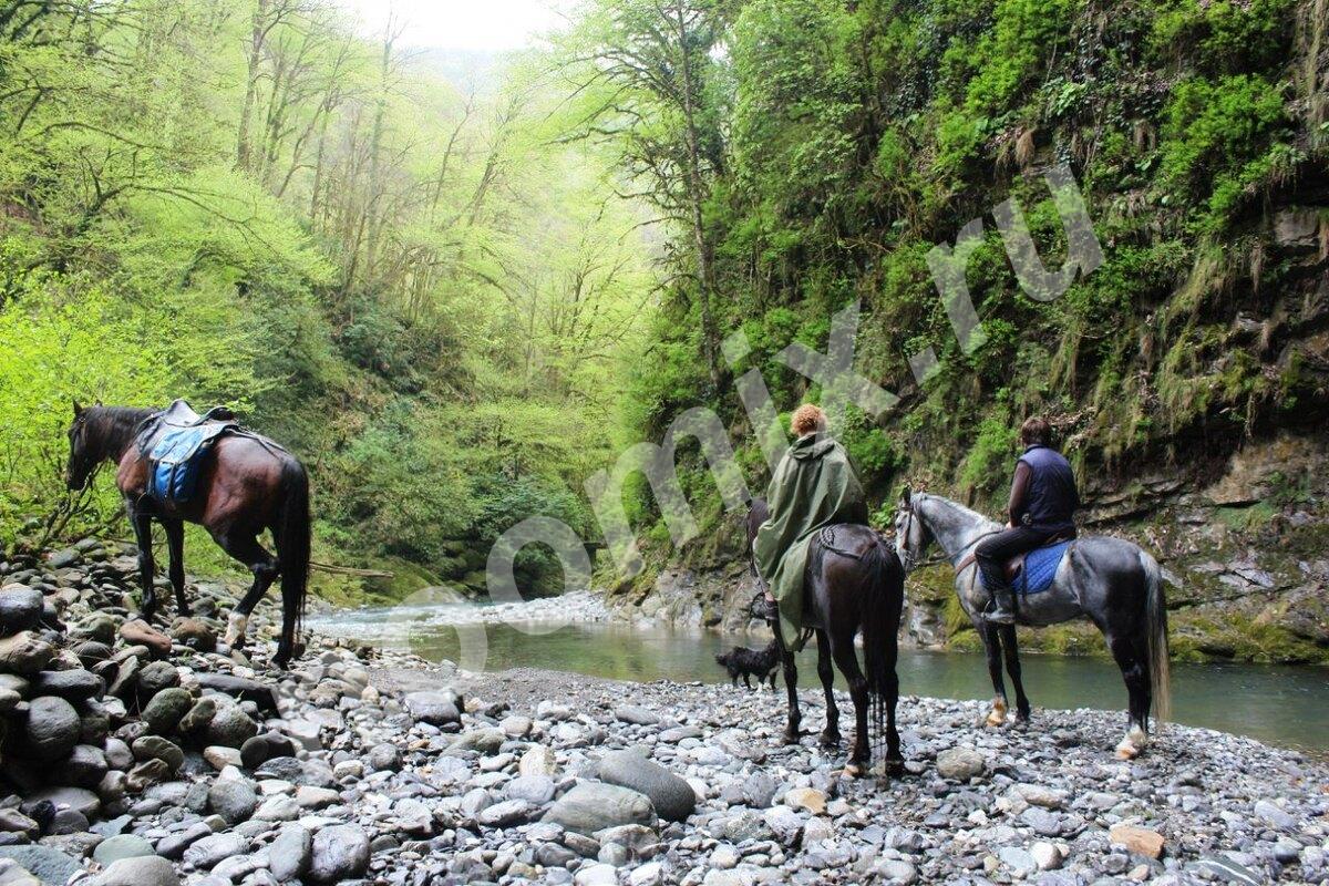 Конные походы в горах Алтая. Телецкое - Уймень - ..., Алтайский край