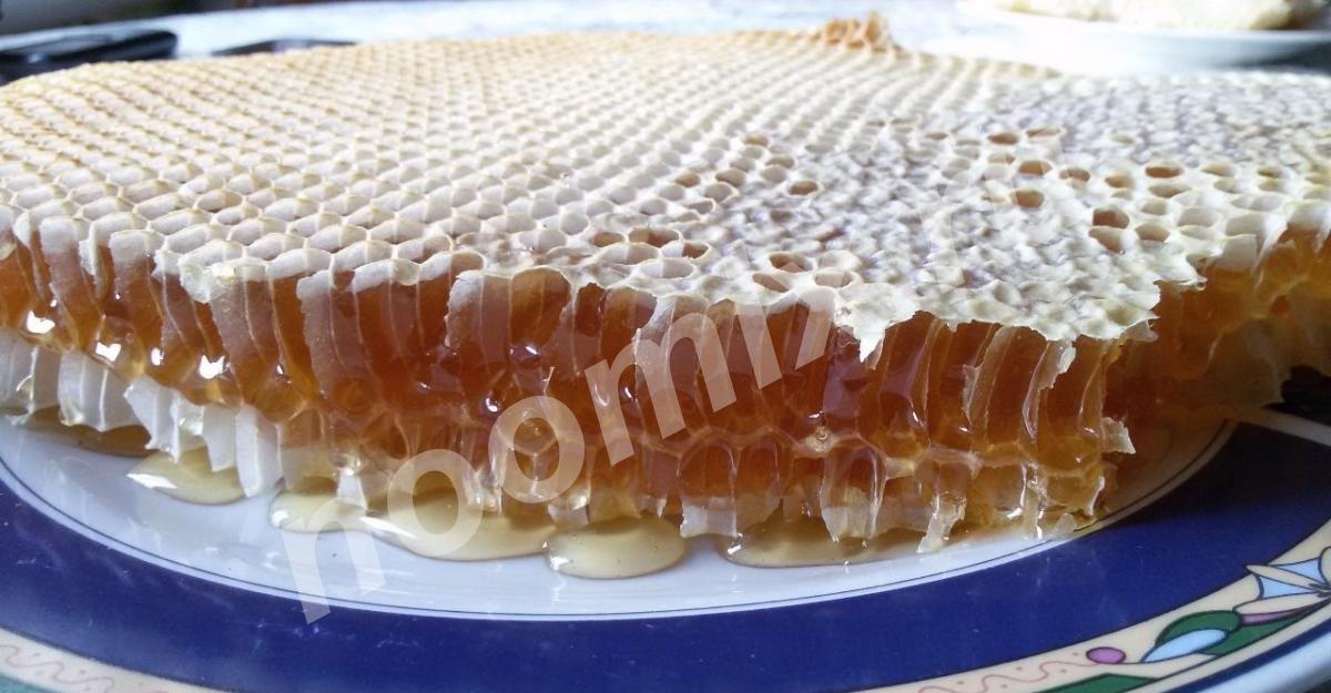Продам продукты пчеловодства, Омская область