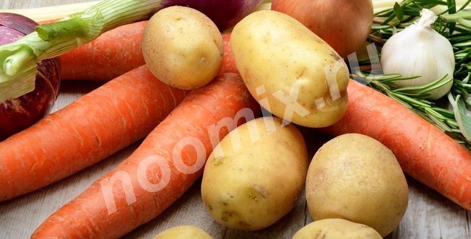 Продам отборный Картофель, морковь и свеклу, Томская область