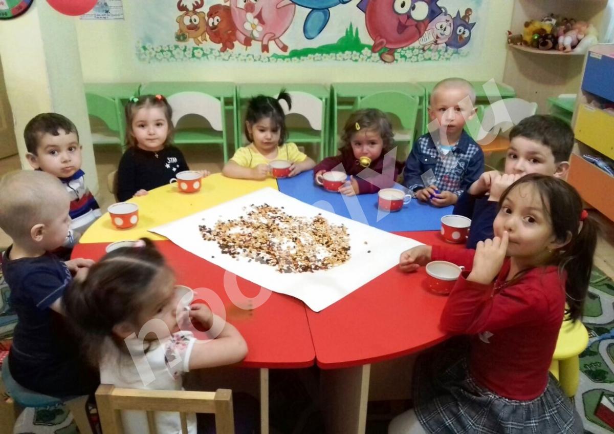 Частный детский сад Британикаkids, Карачаево-Черкесский АО