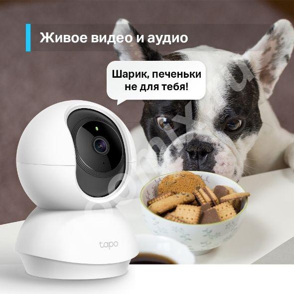 Камера видеонаблюдения IP TP-Link Tapo C210 3.83-3.83мм цв. ..., Московская область