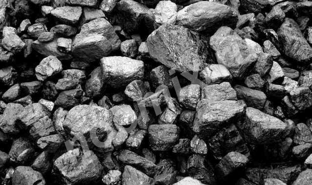 Уголь наивысшего сорта, Алтайский край