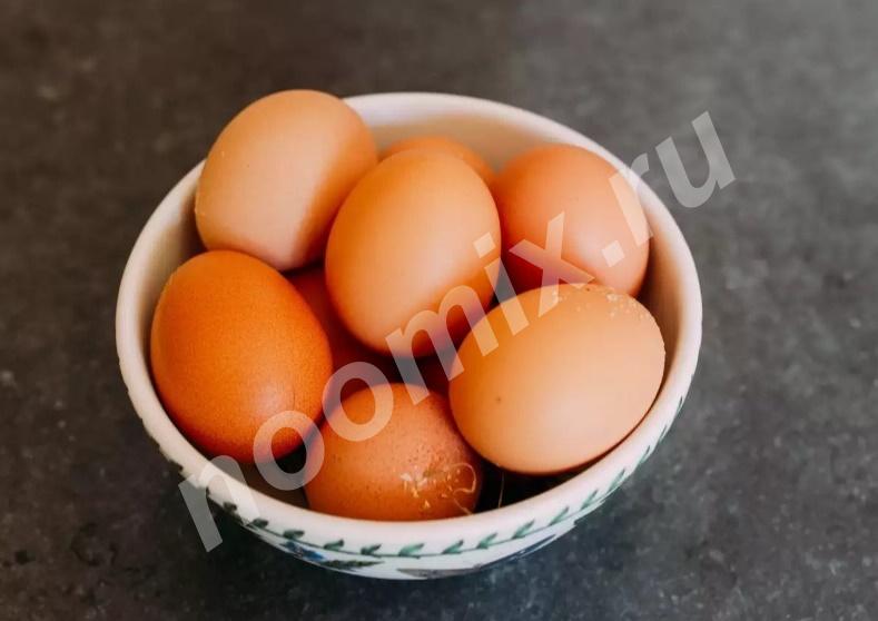 Продам домашние деревенские яйца 6 руб, Курская область