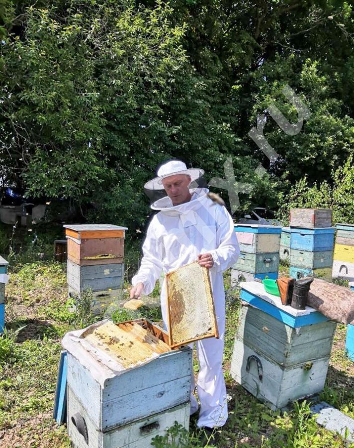 Продаю натуральный цветочный и гречишный мед. . Вкусный и ..., Тульская область