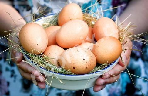 Домашние яйца, Рязанская область